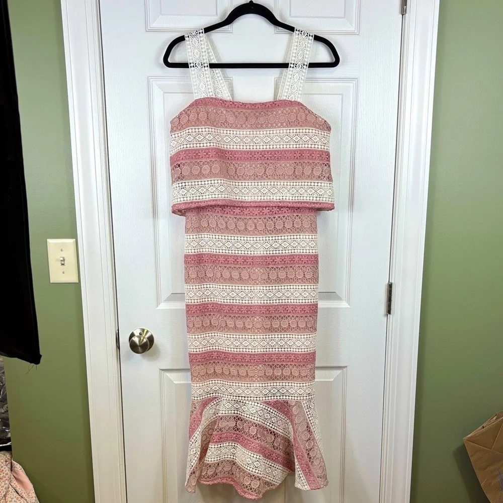 NWT Shoshanna lace Dunham dress blush pink sz 4 - Picture 5 of 11